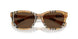 416373 - Brown - Dark Brown
