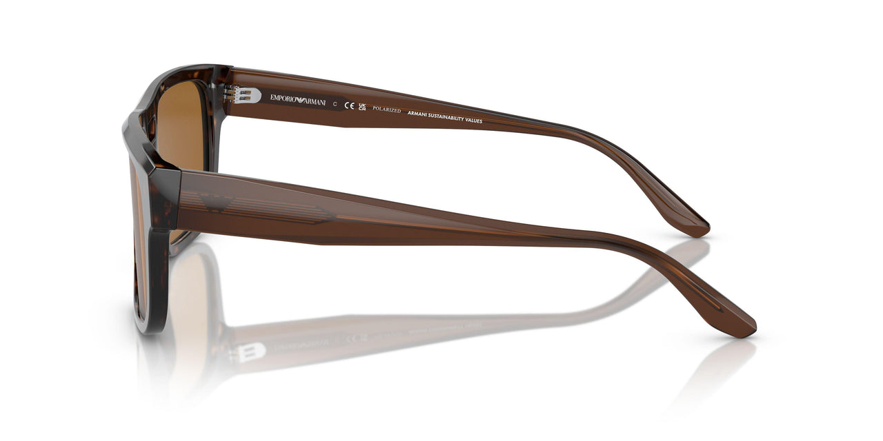 587983 - Tortoise - Brown Polarized