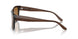 587983 - Tortoise - Brown Polarized