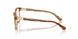 1508 - Brown