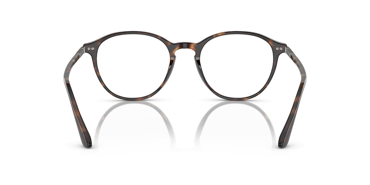 5026 - Tortoise