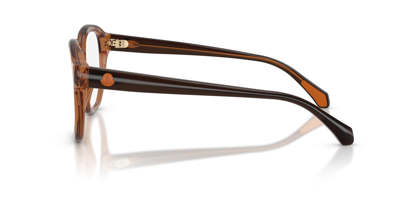 3017 - Brown