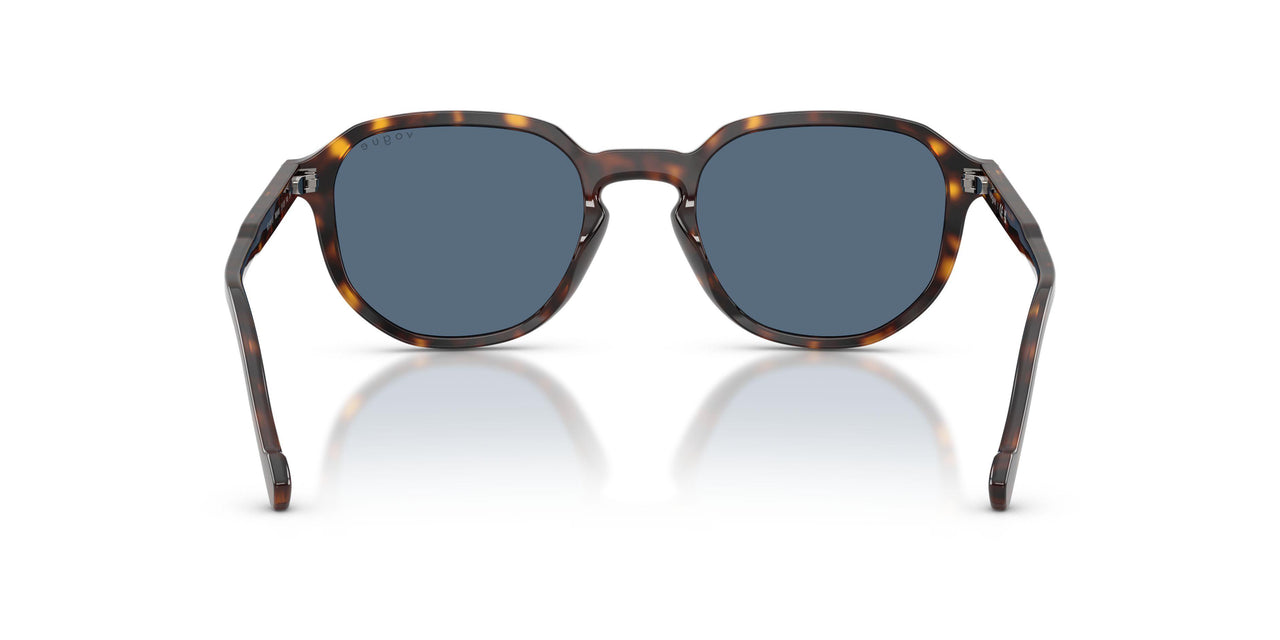 W65680 - Brown - Dark Blue