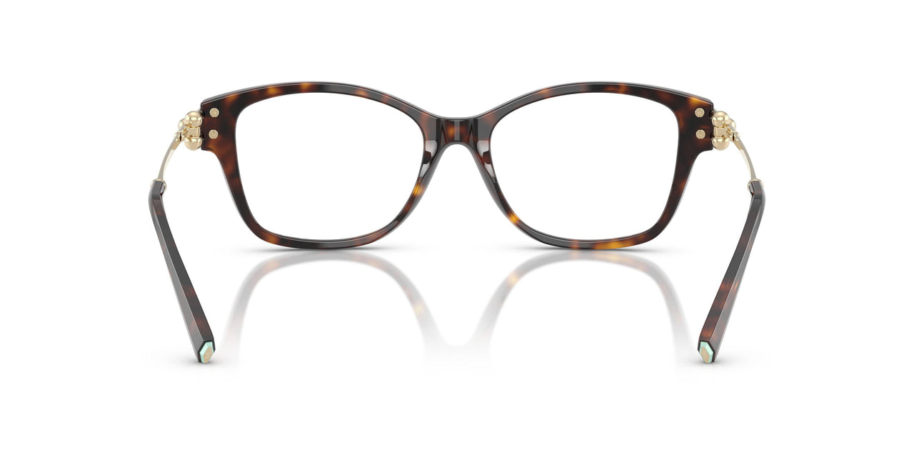 8015 - Tortoise