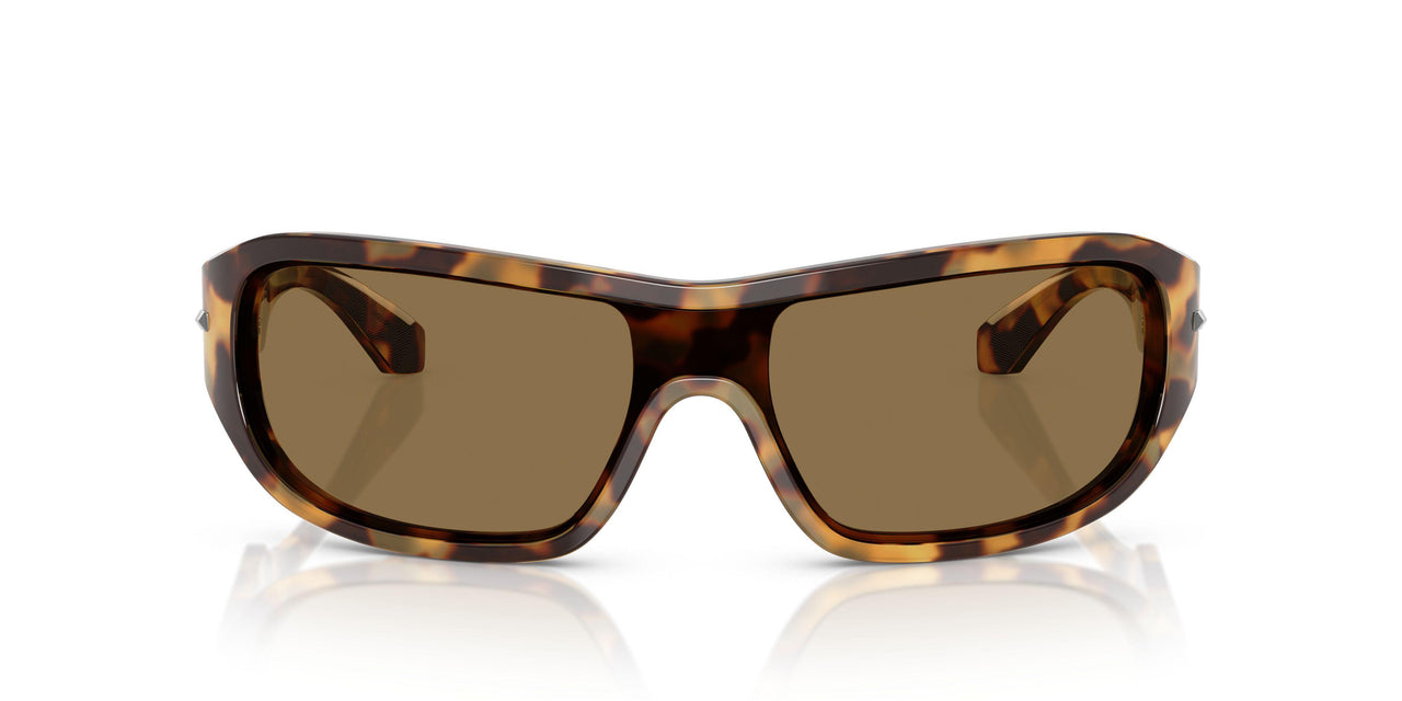 343773 - Tortoise - Dark Brown