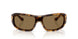 343773 - Tortoise - Dark Brown