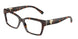 8015 - Tortoise