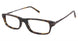 Cruz Downing St Eyeglasses