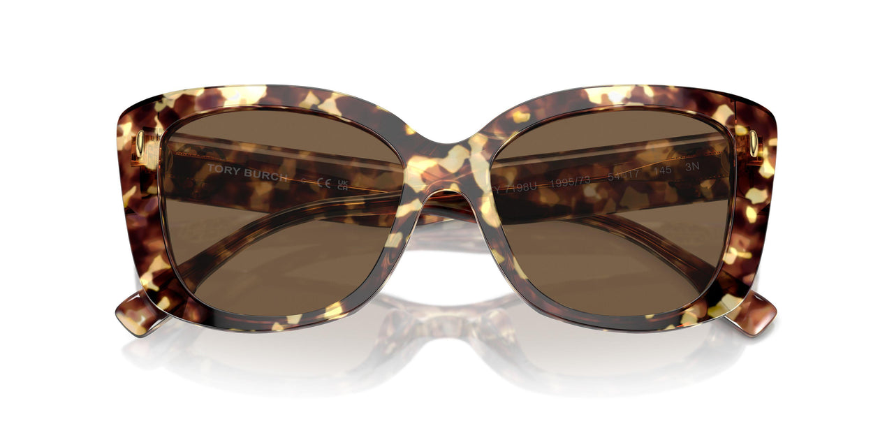 199573 - Tortoise - Dark Brown