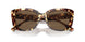 199573 - Tortoise - Dark Brown
