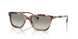 61953C - Tortoise - Grey Gradient