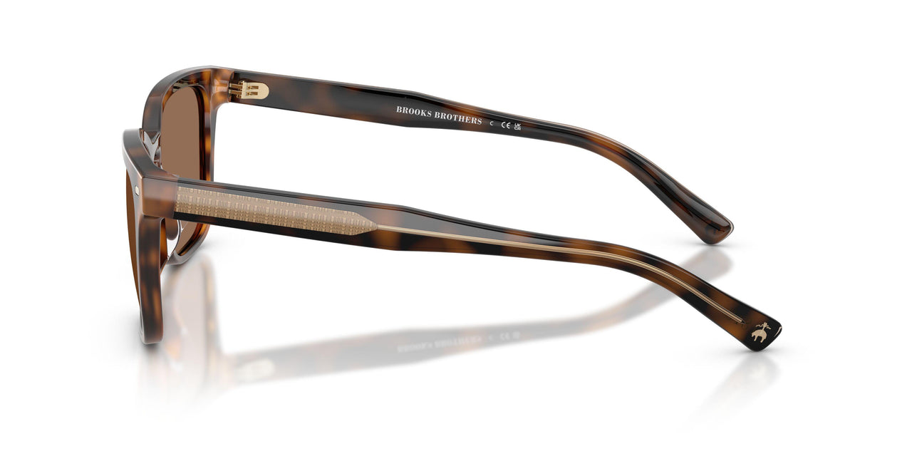 616173 - Tortoise - Solid Brown