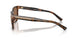 616173 - Tortoise - Solid Brown
