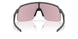 946339 - Grey - Prizm Transitions Black
