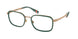 Polo 1225 Eyeglasses