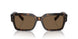 502/73 - Tortoise - Dark Brown