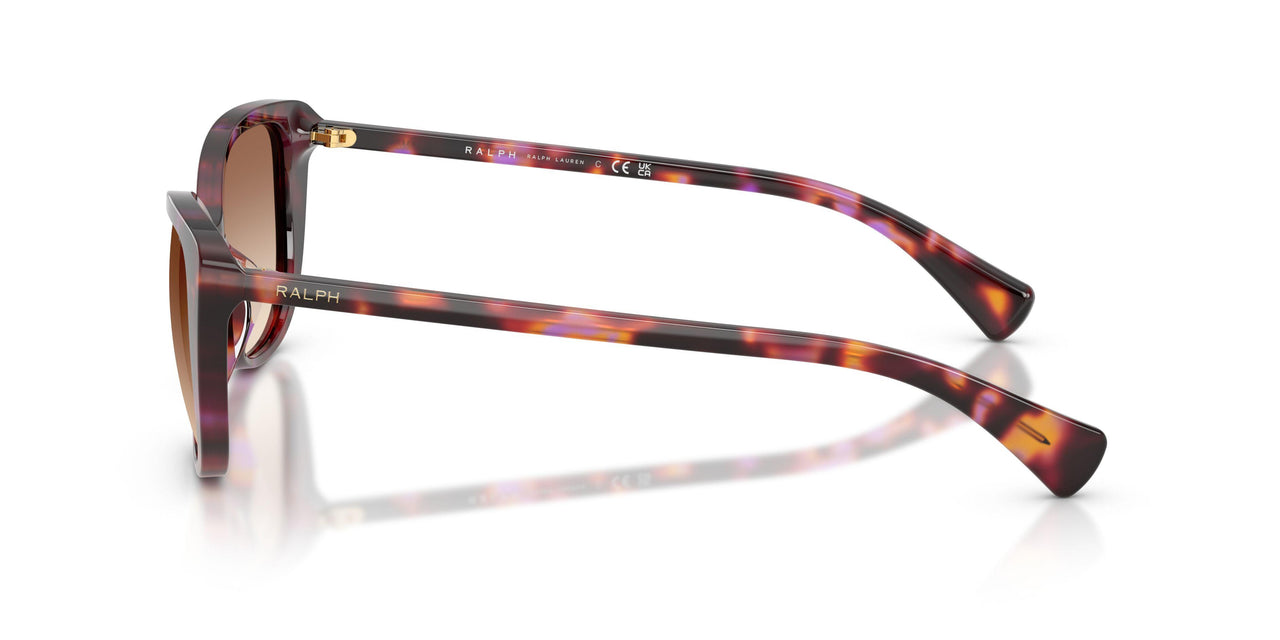 623913 - Violet - Gradient Brown