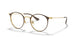 2905 - Brown