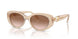 103413 - Brown - Gradient Brown