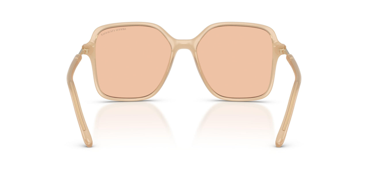 836673 - Brown - Light Brown