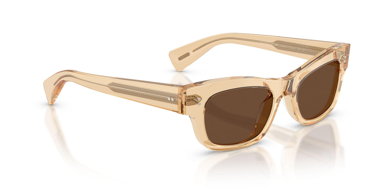1766AN - Brown - Terra Polarized