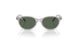 717171 - Grey - Dark Green