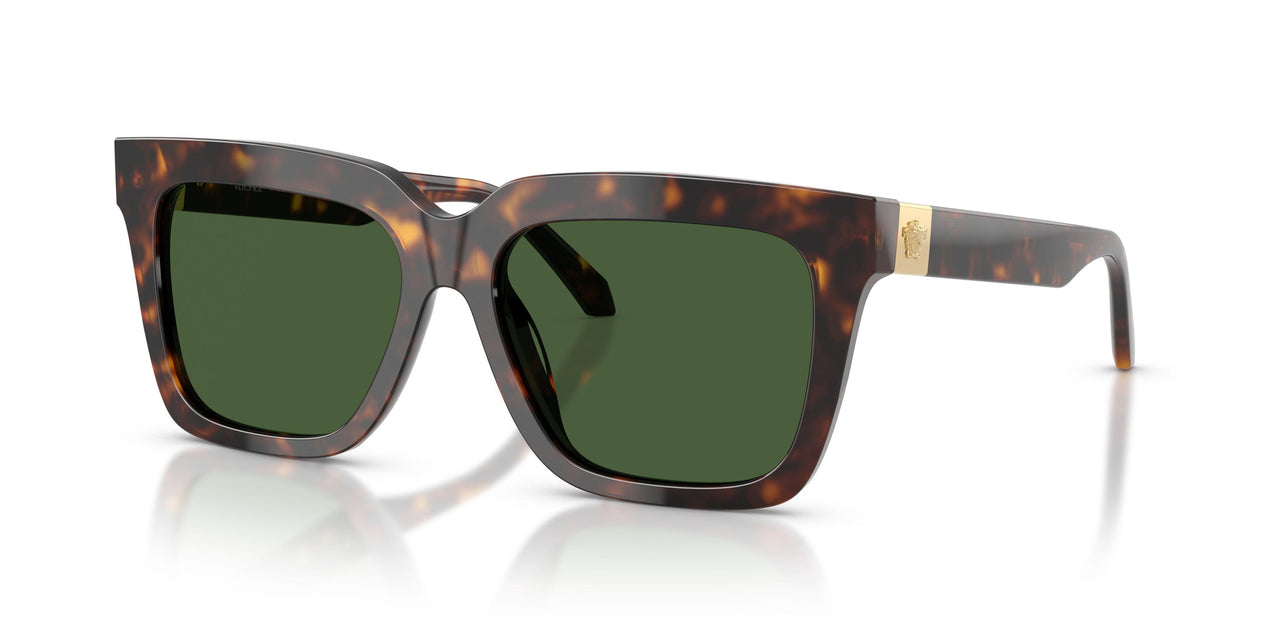108/71 - Tortoise - Dark Grey