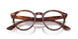 2144 - Brown - Clear