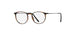 3040 - Havanna Wineyard Green