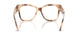 5097 - Tortoise