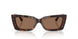 500273 - Tortoise - Dark Brown