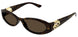 002 - Havana - Brown