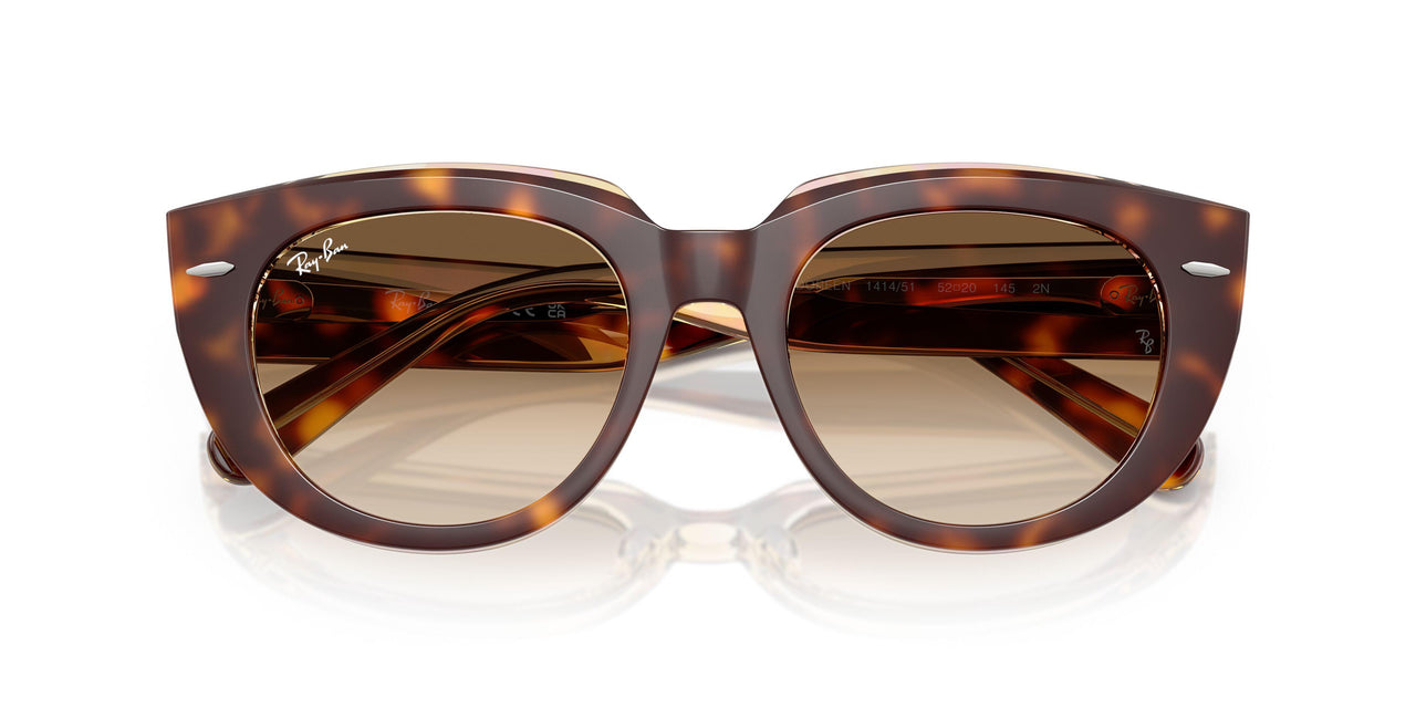 141451 - Tortoise - Clear Gradient Brown