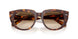 141451 - Tortoise - Clear Gradient Brown