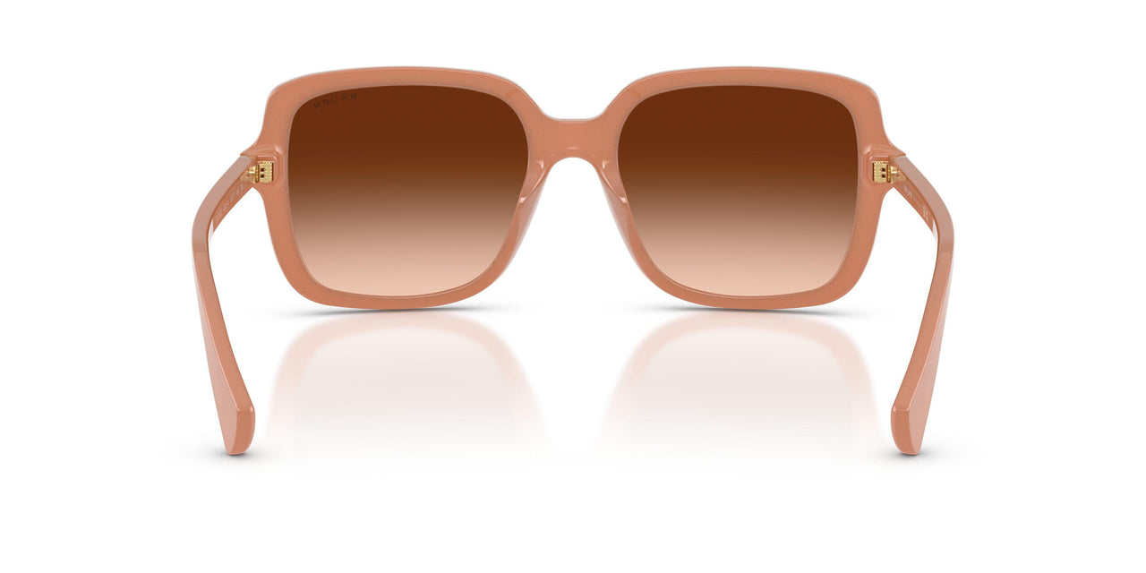 623774 - Orange - Brown Gradient