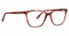 XOXO XOEVERGREEN Eyeglasses