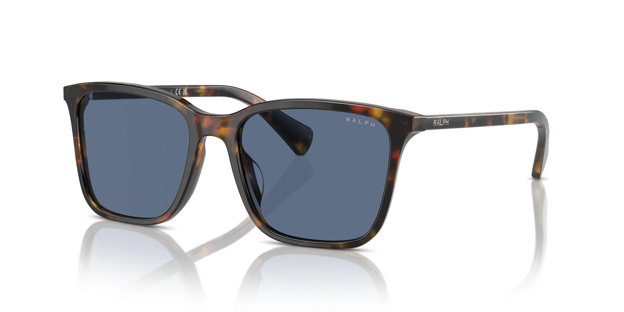 513480 - Brown - Dark Blue