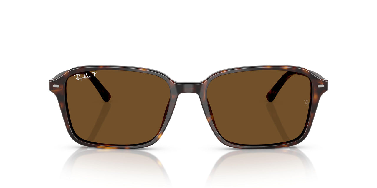 902/57 - Tortoise - B-15 Brown