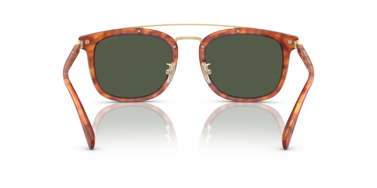 577482 - Tortoise - Army Green