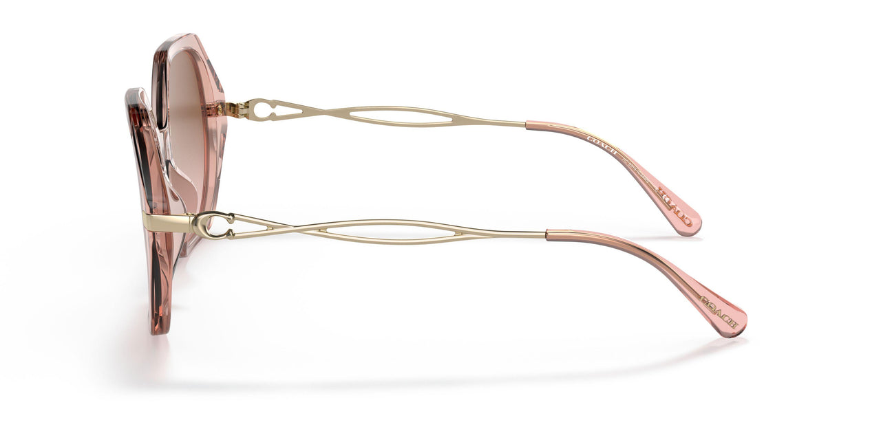 564013 - Orange - Brown Rose Gradient