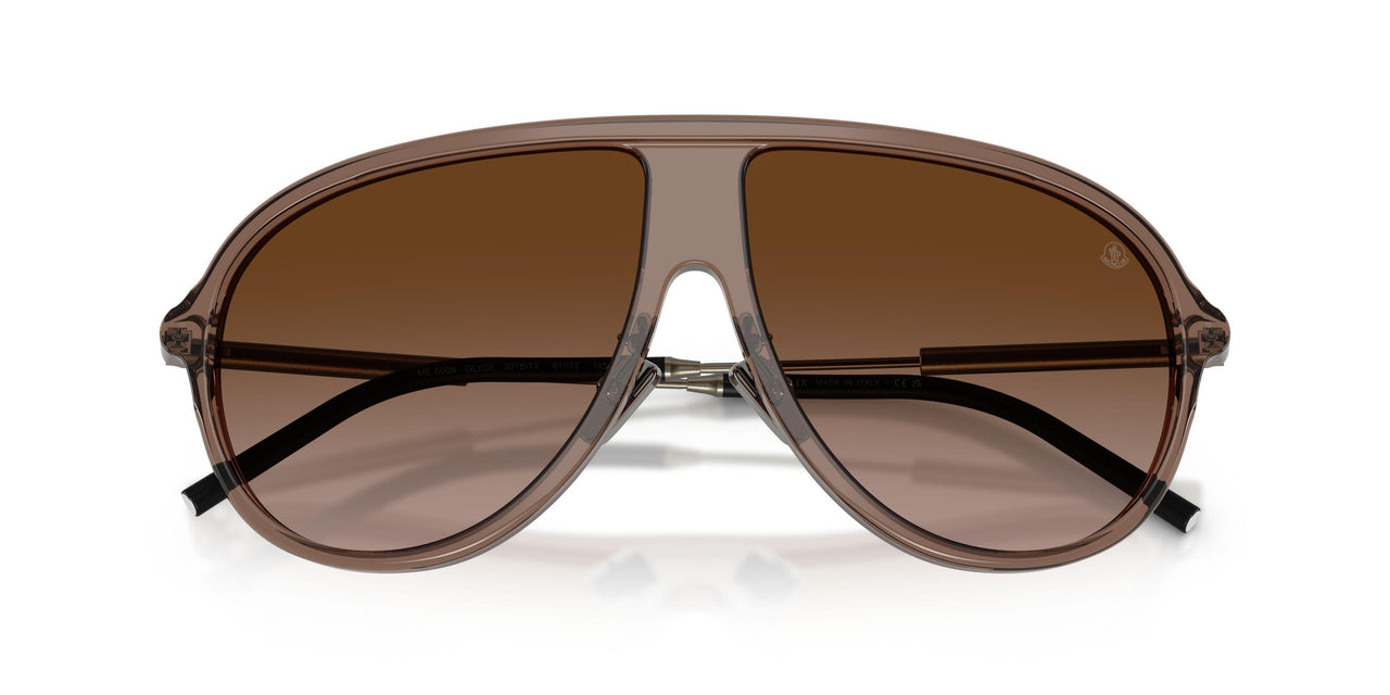 301813 - Brown - Gradient Brown