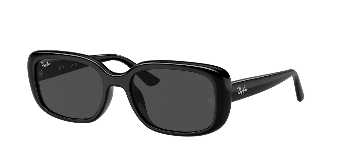 Ray-Ban 4421D Sunglasses