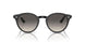 616613 - Turtledove - Brown Gradient