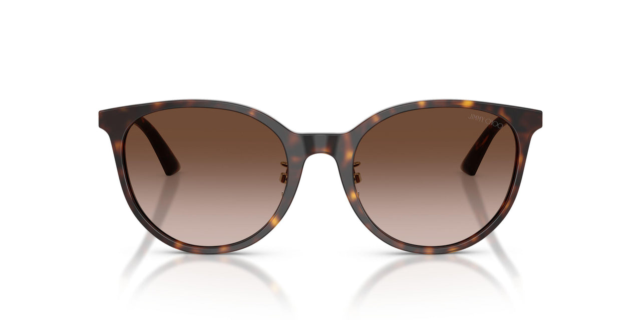 500213 - Tortoise - Gradient Brown