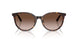 500213 - Tortoise - Gradient Brown