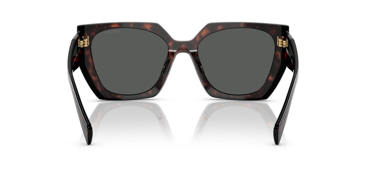24B40L - Tortoise - Dark Grey