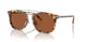 504573 - Tortoise - Brown Solid