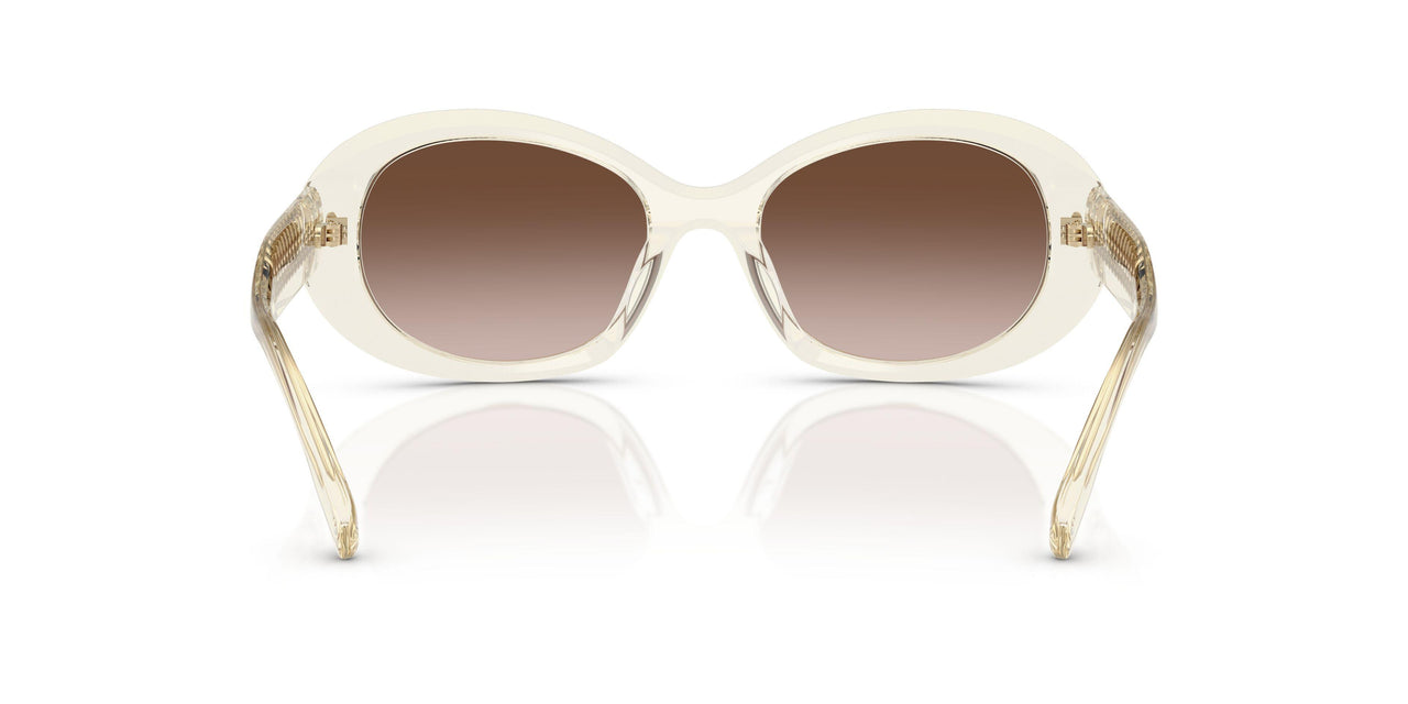 195213 - Transparent - Brown Gradient