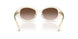 195213 - Transparent - Brown Gradient