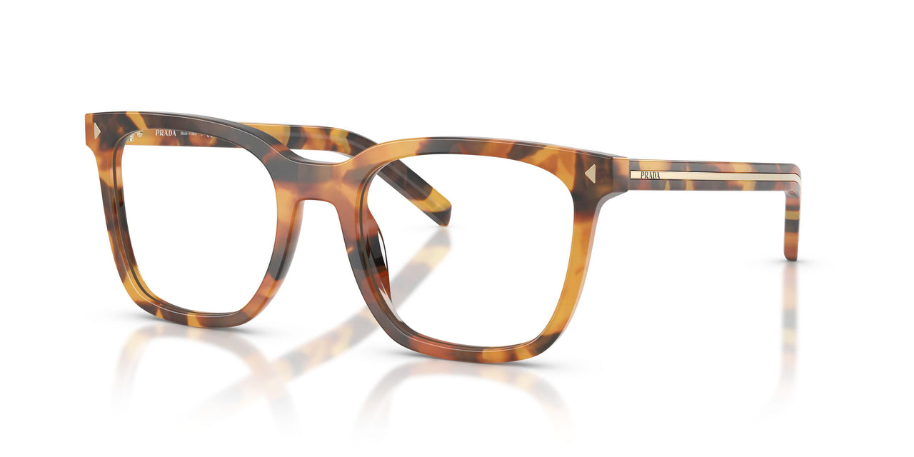 29C1O1 - Tortoise